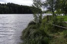 Der Engelsrieder See umgeben von idyllischer Natur