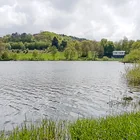 Jungferweiher