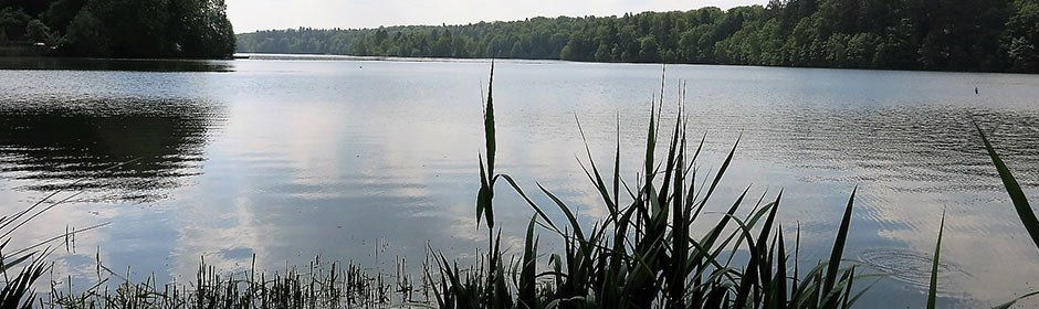 Drüsensee Headmotiv