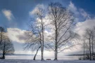 Winter am Starnberger See