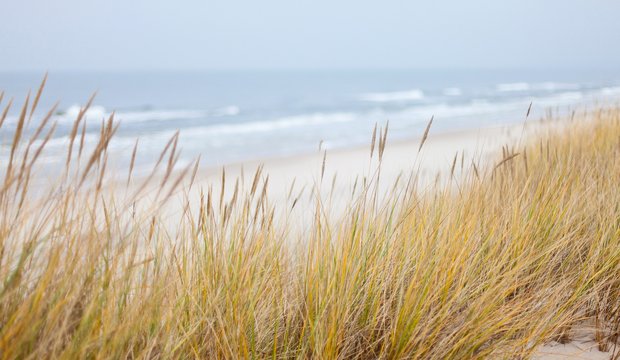 Ostsee Strand Ostsee Strand