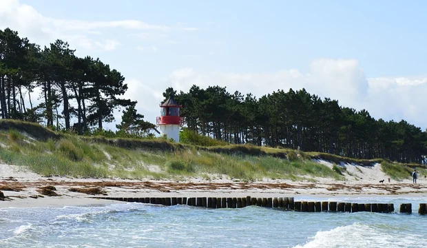 Blick auf das Ufer des Strandes von Hiddensee