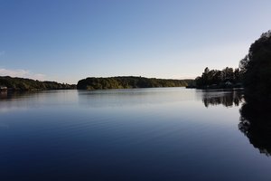 Fotos vom Étang de Diefenbach