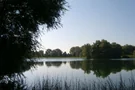 Blick auf den Waldsee zwischen Senden und Vöhringen