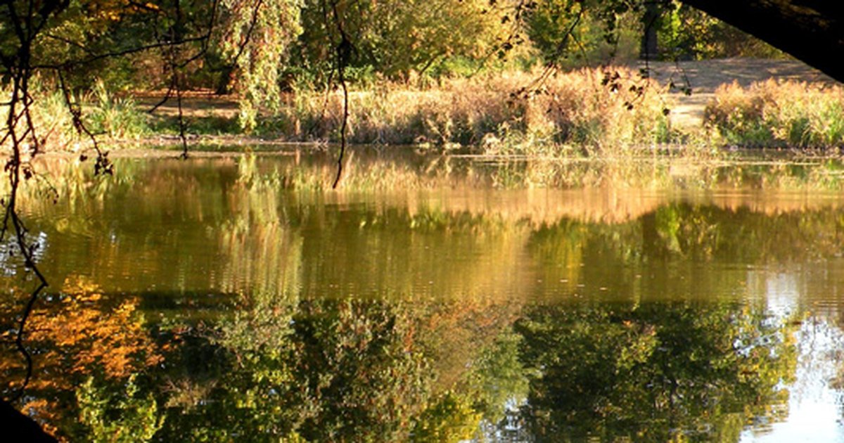 Der Stünzer Teich in Leipzig Urlaub und Freizeit