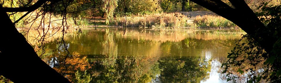 Stünzer Teich Headmotiv