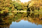 Spiegelung der goldenen Herbstbäume im Stünzer Teich