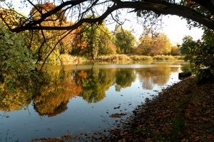 Fotos vom Stünzer Teich