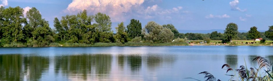 Baggersee Wacholderhain Headmotiv