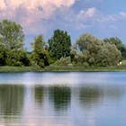 Baggersee Wacholderhain