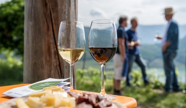 Kalterer Weinwandertag Kalterer Weinwandertag