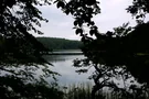 Blick auf den großen Boberowsee durch die Bäume am Ufer