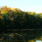 Langwuhrweiher