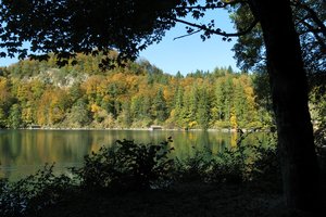 Fotos vom Alpsee bei Schwangau