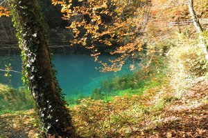 Fotos vom Blautopf