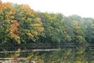 Die Bäume am Ufer beginnen Ihre Farbe zu wechseln