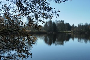 Fotos vom Brunner Weiher