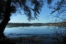 Blick auf den Holzmühlweiher an einem sonnigen Tag