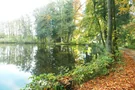 Ein goldener Herbsttag am Hasenweiher