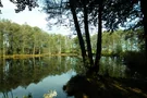 Der Hasenweiher inmitten der Natur