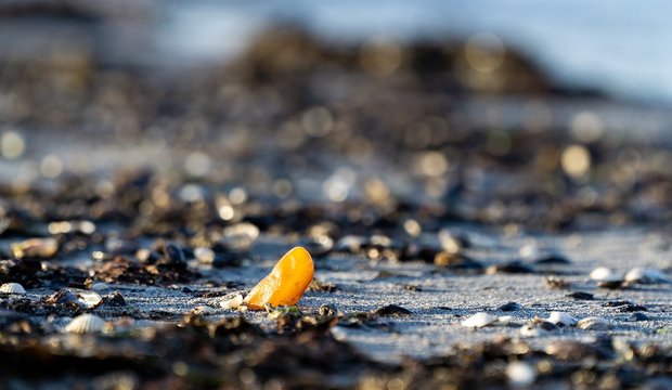 Bernstein an der Ostsee Bernstein an der Ostsee