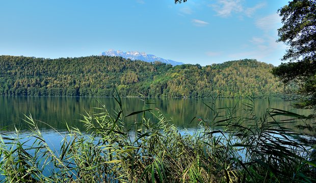 Ruhiges, schilfbedecktes Ufer des Lago di Levico Ruhiges, schilfbedecktes Ufer des Lago di Levico