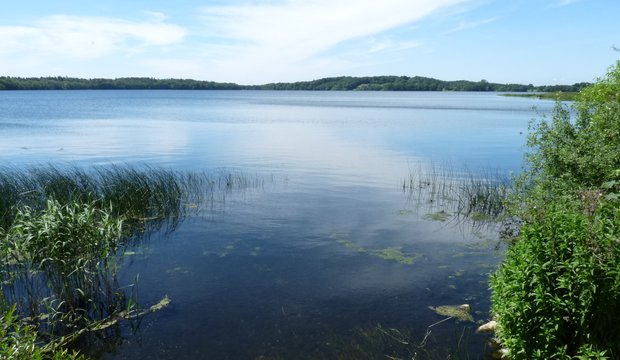 Behler See Behler See