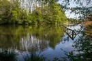 Der Frühling hat auch den Lindenweiher erreicht