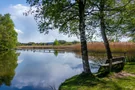 Ein herrlich blauer Himmel über dem Lindenweiher