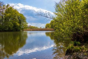 Fotos vom Lindenweiher