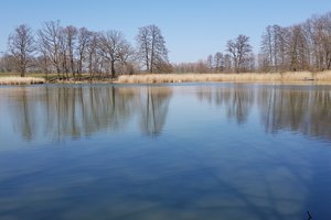 Fotos vom Mühlsee