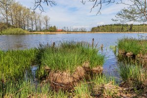 Fotos vom Stockweiher