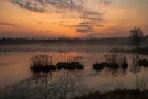 Am Riedsee kann man wundervolle Sonnenuntergänge beobachten