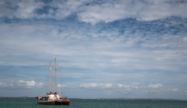 Hikianalia Hikianalia