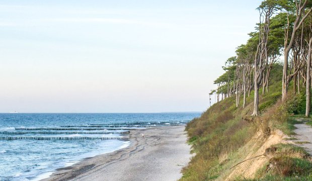 Vorpommersche Boddenlandschaft Head Vorpommersche Boddenlandschaft Head