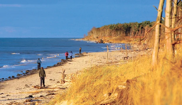 Weststrand, Fischland-Darß-Zingst Weststrand, Fischland-Darß-Zingst