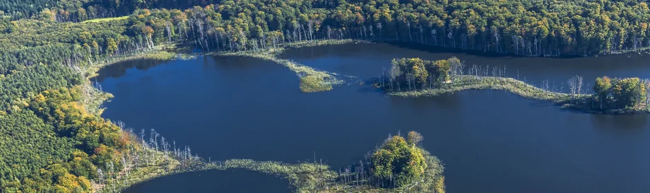 Müritz Nationalpark Headmotiv