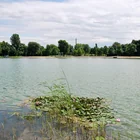 Knochensee