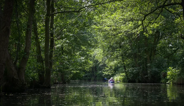 Paddeln im Spreewald