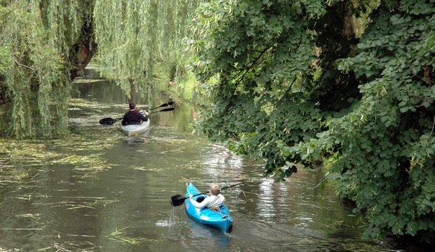 Familienausflug mit dem Kanu im Spreewald