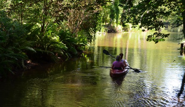 Wie im Urwald – mit dem Kanu durch den Spreewald