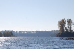 Fotos vom Kollersee