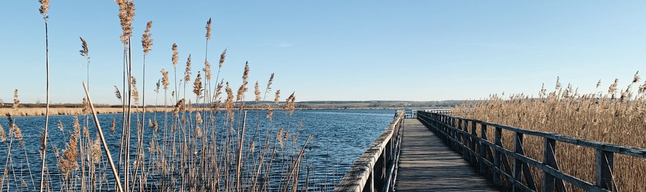 Federsee Headmotiv