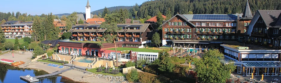 Treschers Schwarzwald-Hotel Headmotiv