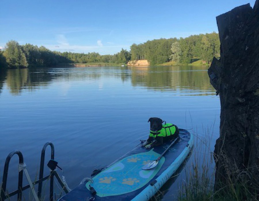 Fotos vom Baggersee