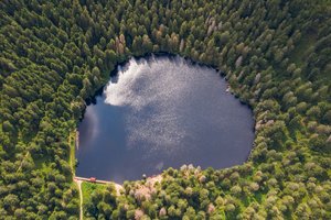 Fotos vom Glaswaldsee