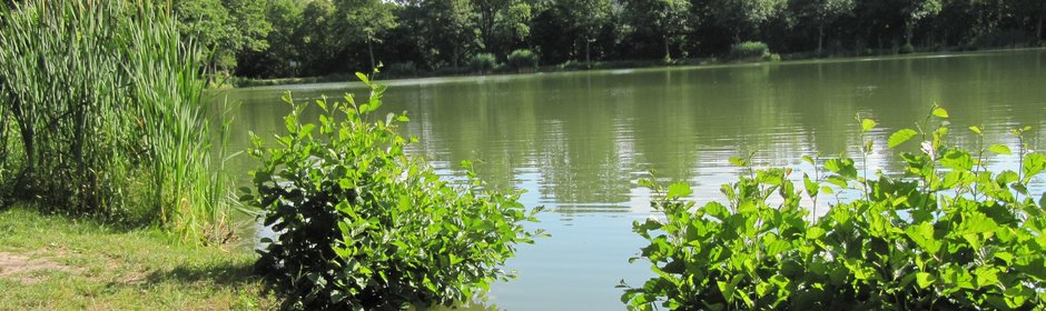 Oberer Seewaldsee Headmotiv