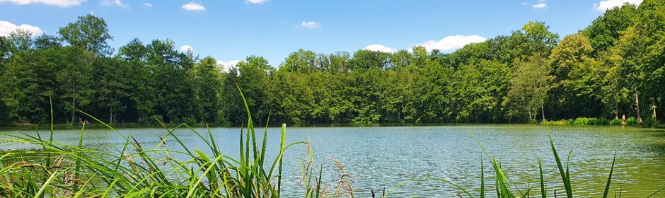 Unterer Seewaldsee Headmotiv