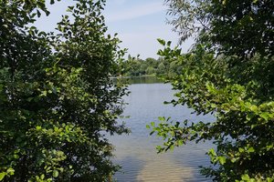 Fotos vom Pulvermühlenteich Fotos vom Pulvermühlenteich