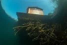 Ein Blick aus dem Wasser auf die Wasseroberfläche